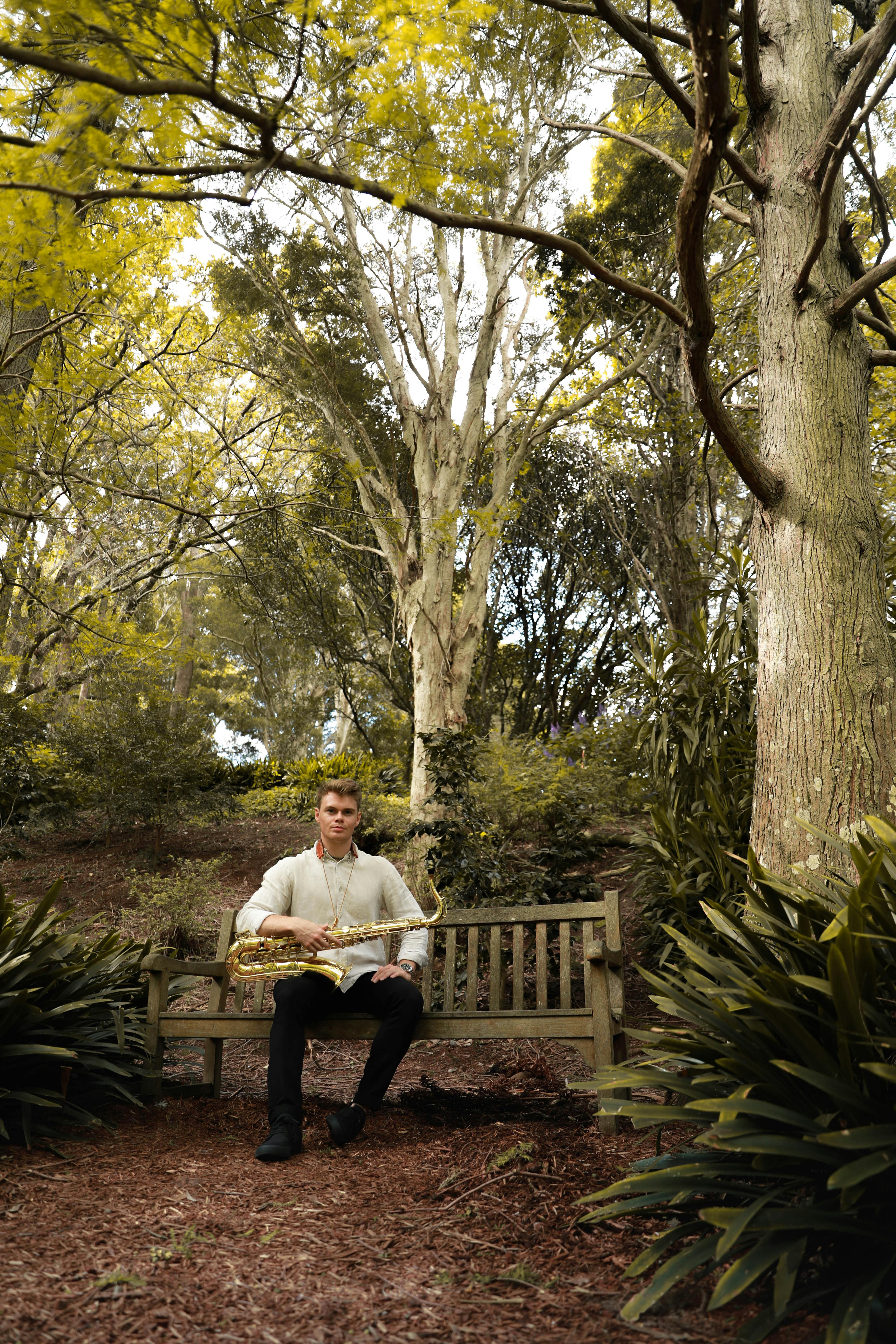 Background image of Jayden sitting in the distance amongst the trees